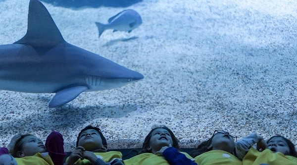oceanario-de-lisboa